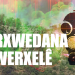 TAYBET – Dîrok ji nû ve tê nivîsandin – Berxwedana Werxelê