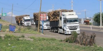 Li Bestayê di bin çavdêriya leşkeran de dar tên birîn