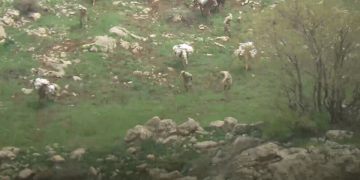 Leşkerên Tirk ên dagirker li Zapê hêştir dizîn û pê reviyan