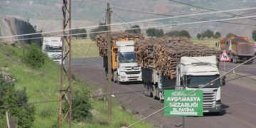 Cerdevan hêj jî di bin çavdêriya leşkeran de li Cûdî û Bestayê daran dibirin