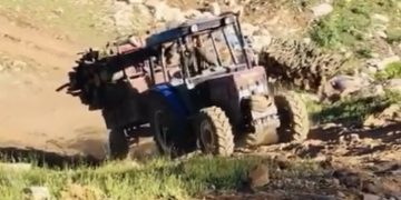 Li herêma Bestayê talankirina birîna daran ku bi destê cerdevanan hatiye destpêkirin didome