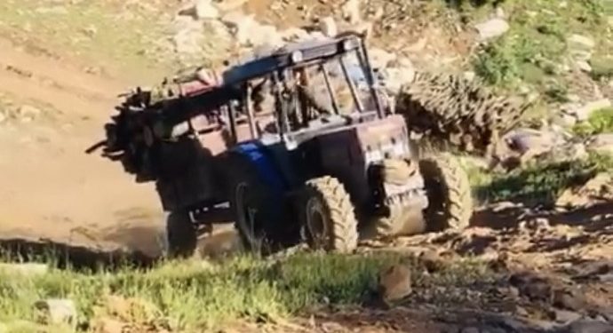 Li herêma Bestayê talankirina birîna daran ku bi destê cerdevanan hatiye destpêkirin didome