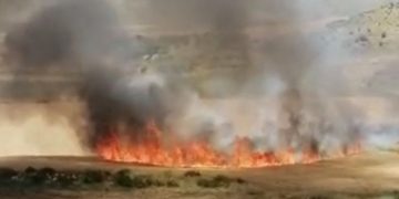 Li Şirnexê zeviyên genim şewitîn