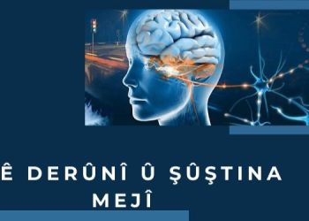 Şerê derûnî û şûştina mejî