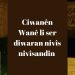Ciwanên Wanê li ser dîwaran nivîs nivîsandin