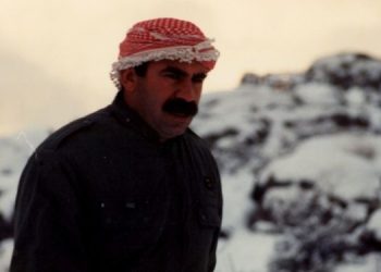 DI TIRKIYÊ DE PARTÎPARÊZIYA ÎFLAS KIRÎ Û  LÊGERÎNÊN AVAKIRINA PARTIYÊN NÛ I