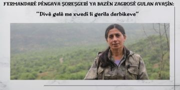 Gulan Avaşîn: Divê gelê me xwedî li gerîla derbikeve