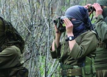 Li Xakurkê 28 dagirker hatin