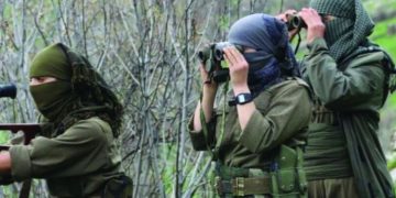 Li Xakurkê 28 dagirker hatin