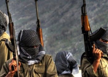 Li Kurêjahroyê gerîla li dagirkeran da – 6 dagirker hatin ceza kirin