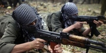 LEZGÎN – Di çalakiyên gerîla de 8 dagirker hatin cezakirin