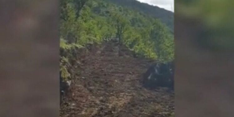 PDK’ê û dewleta Tirk bi hevre xwezayê Kurdistanê talan dikin