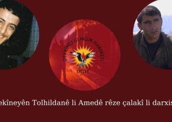 Yekîneyên Tolhildanê li Amedê rêze çalakî li darxistin