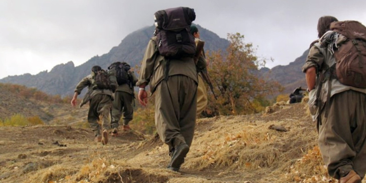 Ji Pênûsa Gerîla – Stêrkên kû kêlî bi kêlî bi roja xwe re jiyan kirin