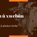 Ji pênûsa Gerîla – Jin û xwebûn