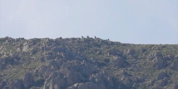 Leşkerên Tirk ji ber çalakiyên gerîla riya xwe winda kirine