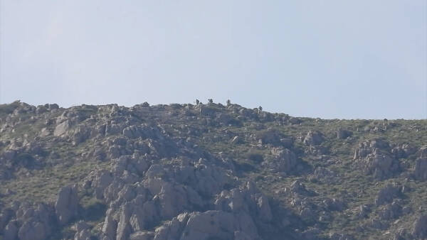Leşkerên Tirk ji ber çalakiyên gerîla riya xwe winda kirine