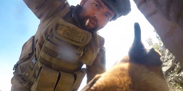 Dewleta Tirk a dagirker ji cerdevan û leşkeran encam negirt, kûçikan dixe dewrê de