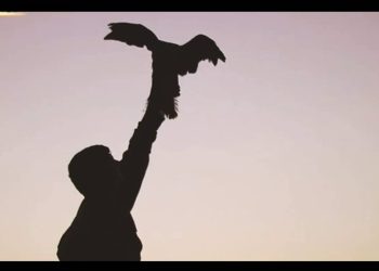 Li ser berxwedana gerîla ji koma Şehîd Serdeşt klîpekî nû