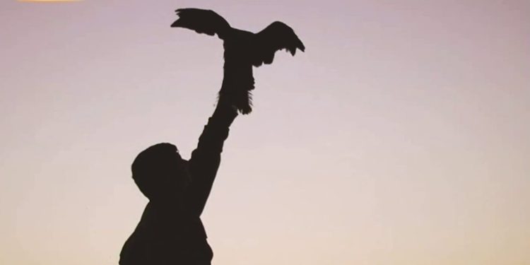 Li ser berxwedana gerîla ji koma Şehîd Serdeşt klîpekî nû