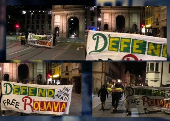 Li Înnsbruckê ciwanên TCŞ û yên Enternasyonal li dijî dagirkeriyê meşiyan