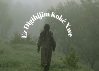 Ez Digihijim Kokê Xwe