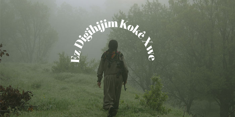 Ez Digihijim Kokê Xwe