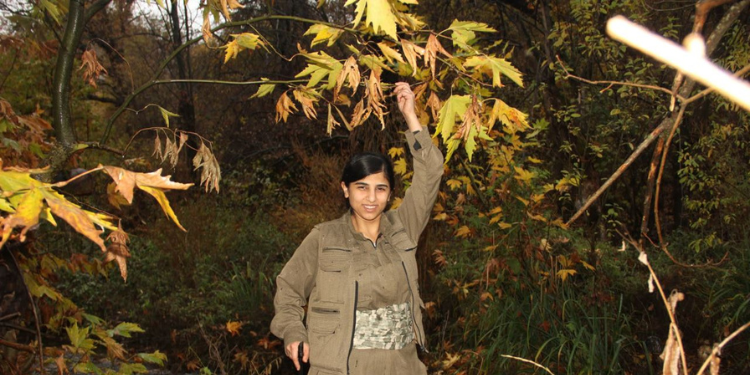 Ji pênûsa Gerîla – Payîzek bû…