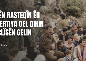 Hêzên rasteqîn ên nûnertiya gel dikin meclîsên gelin