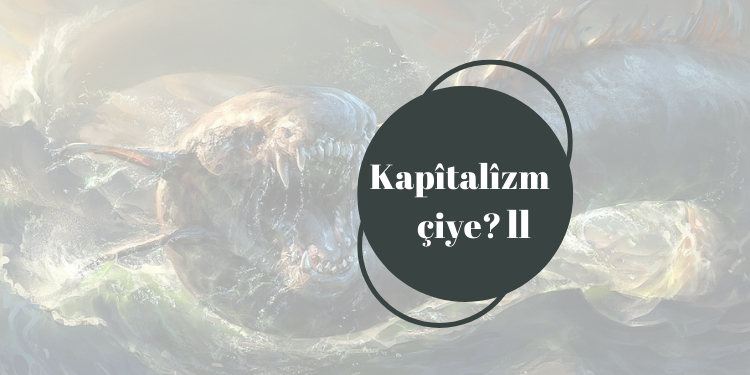 Kapîtalîzm çiye? ll