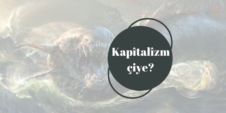 Kapîtalîzm çiye?