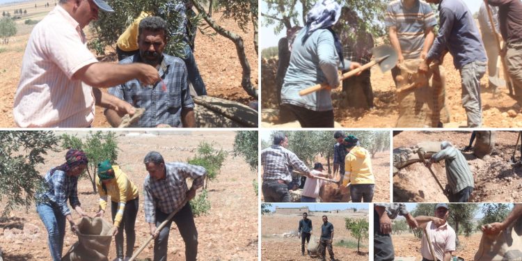 Şêniyên Efrînê: Em ji bo şerê li dijî dagirkeriyê amade ne