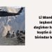 Li Wanê 4 leşkerên dagirker hatine kuştin û 2 jî birîndar bûne