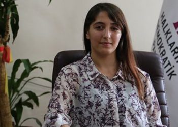 Dêrsim Dag: Em bang li ciwanan dikin ku li dijî dagirkeriyê tevlî mêtîngê bibin