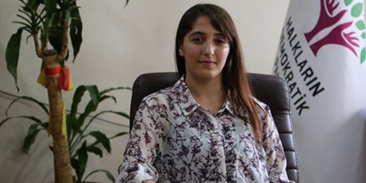 Dêrsim Dag: Em bang li ciwanan dikin ku li dijî dagirkeriyê tevlî mêtîngê bibin