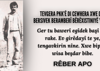 Tevgera PKK’ê Di Cewhera Xwe de  Bersivek Beramberî Bêrêxistiniyê Ye – III