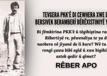 Tevgera PKK’ê Di Cewhera Xwe de Bersivek Beramberî Bêrêxistiniyê Ye – IIX