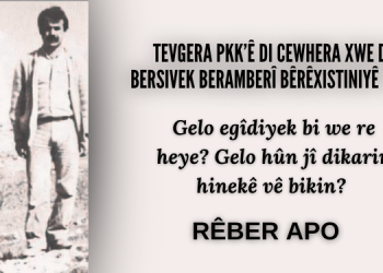 Tevgera PKK’ê Di Cewhera Xwe de  Bersivek Beramberî Bêrêxistiniyê Ye – II