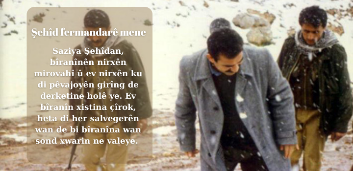 Şehîd fermandarê mene