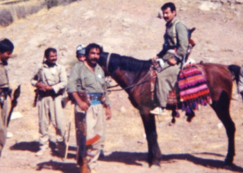 Ji pênûsa Mahsûm Korkmaz serdegirtina Dihê -4