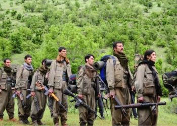 Sîsê: Ez Dixwazim Weke şehîd Bêrîtan Bibim Gerîla – 1