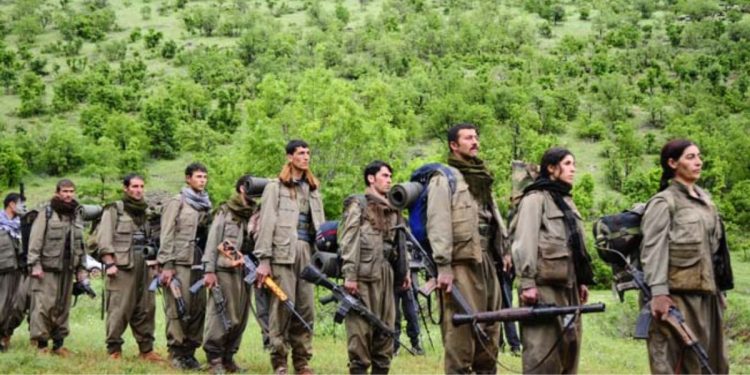 Sîsê: Ez Dixwazim Weke şehîd Bêrîtan Bibim Gerîla – 1