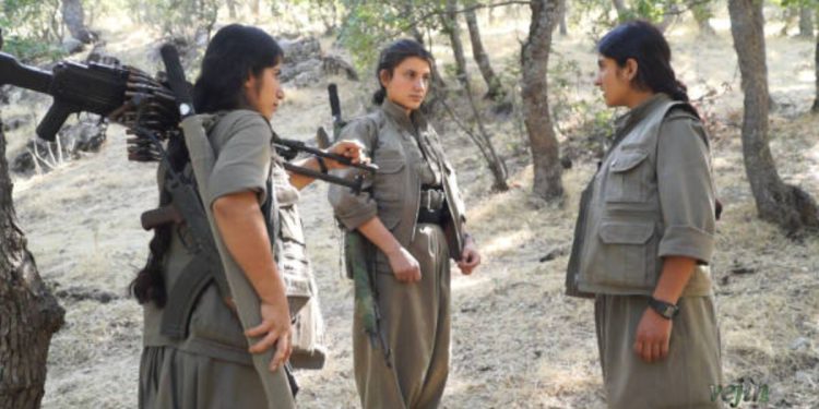 Sîsê: Ez Dixwazim Weke şehîd Bêrîtan Bibim Gerîla – 3