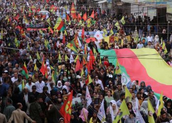 Dijmin ji vê sîstemê hayîdar e