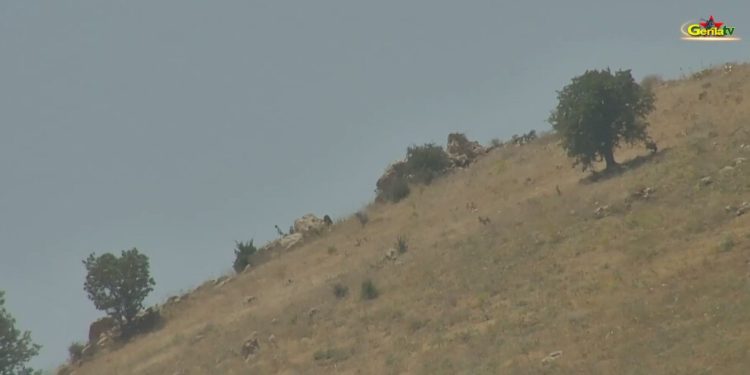 Dîmeneke nû ya çalakiya gerîla hate weşandin