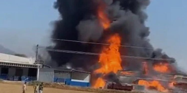 Milîsên Firat Çaplik a HBDH’ê febrîqeyek şewitandin