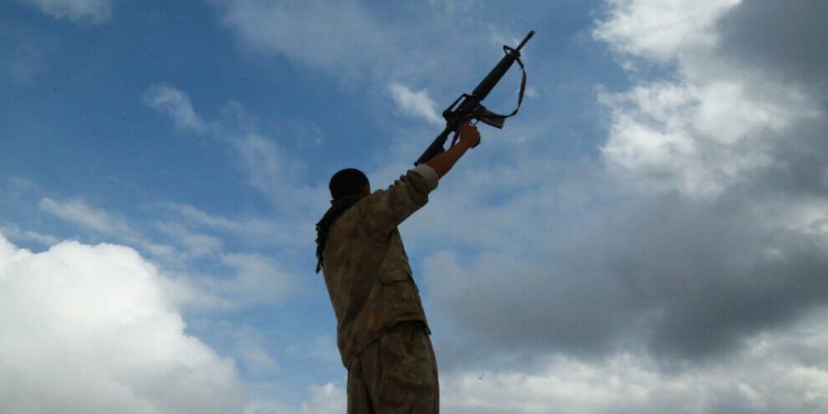 Di çalakiyên gerîla de 2 dagirker hatin ceza kirin