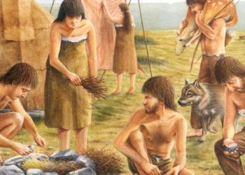 Dîroka Perwerdê û kêrhatinên hatine jiyan kirin – Civaka Xwezayî