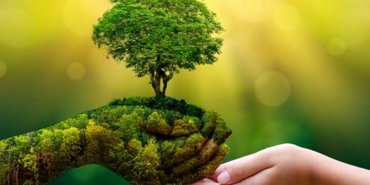 Konfederalîzma demoqratîk û erkên demê: Konfederalîzma Demokratîk zindiyan bi hev ve girêdide – 12