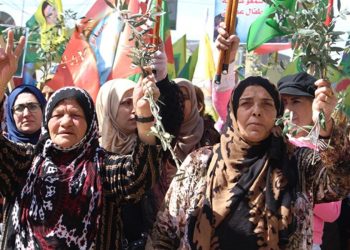 Konfederalîzma demoqratîk û erkên demê: Di sîstema demoqratîk de rêxistinkirina civakê -14